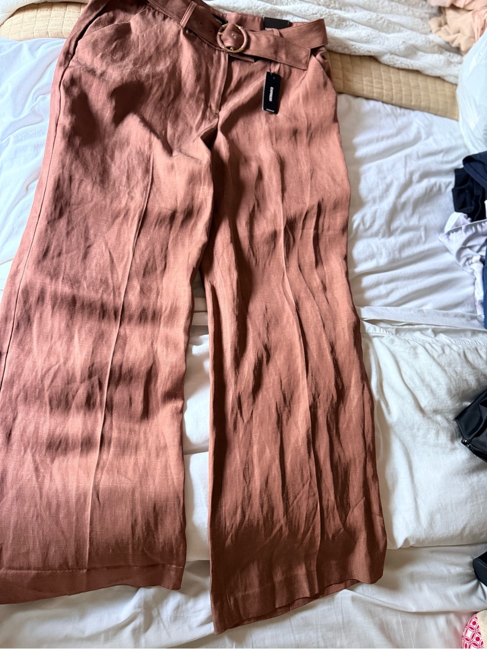 Express Wide-Leg High-Rise Pants with Belt in Rust